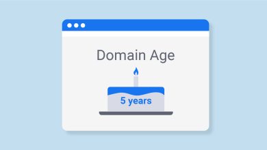 domain age